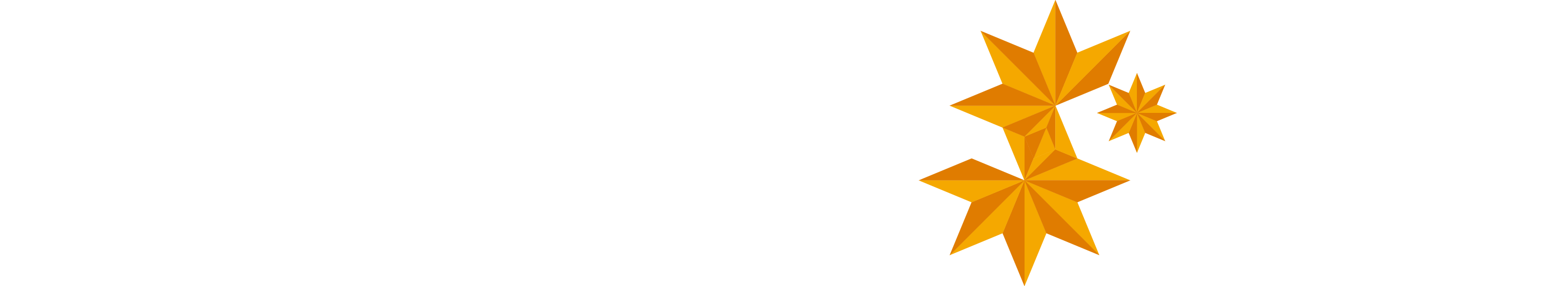 LOGO 2917X532 LOGO 2917X532